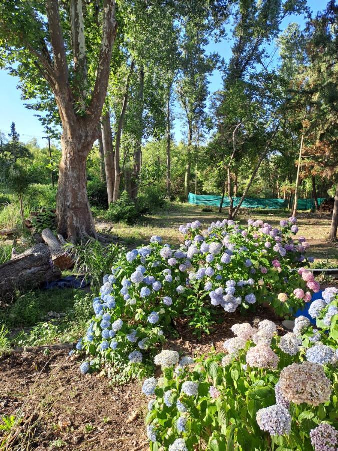Vila Casa Eden Exclusiva Y Comoda Casona De Descanso A Tan Solo 1 Hora De Bs As Tigre Exteriér fotografie