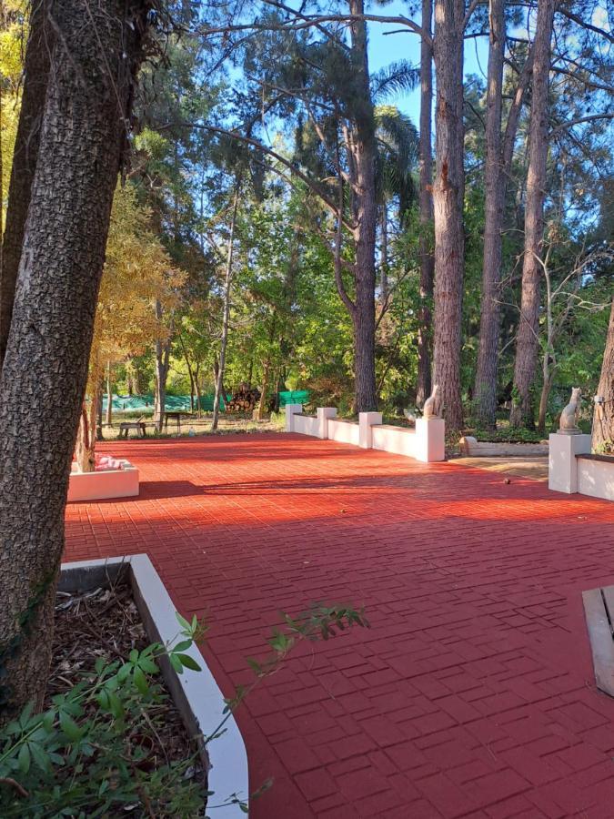Vila Casa Eden Exclusiva Y Comoda Casona De Descanso A Tan Solo 1 Hora De Bs As Tigre Exteriér fotografie